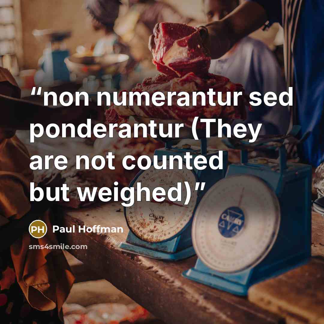 “non numerantur sed ponderantur (They are not counted but weighed)” quote by Paul Hoffman