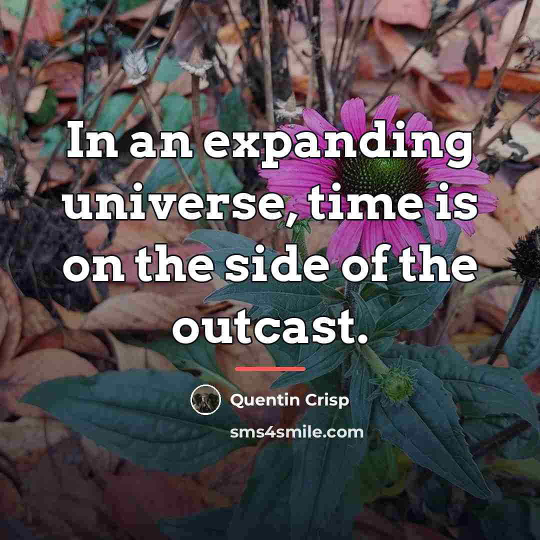 “In an expanding universe, time is on the side of…” quote by Quentin Crisp
