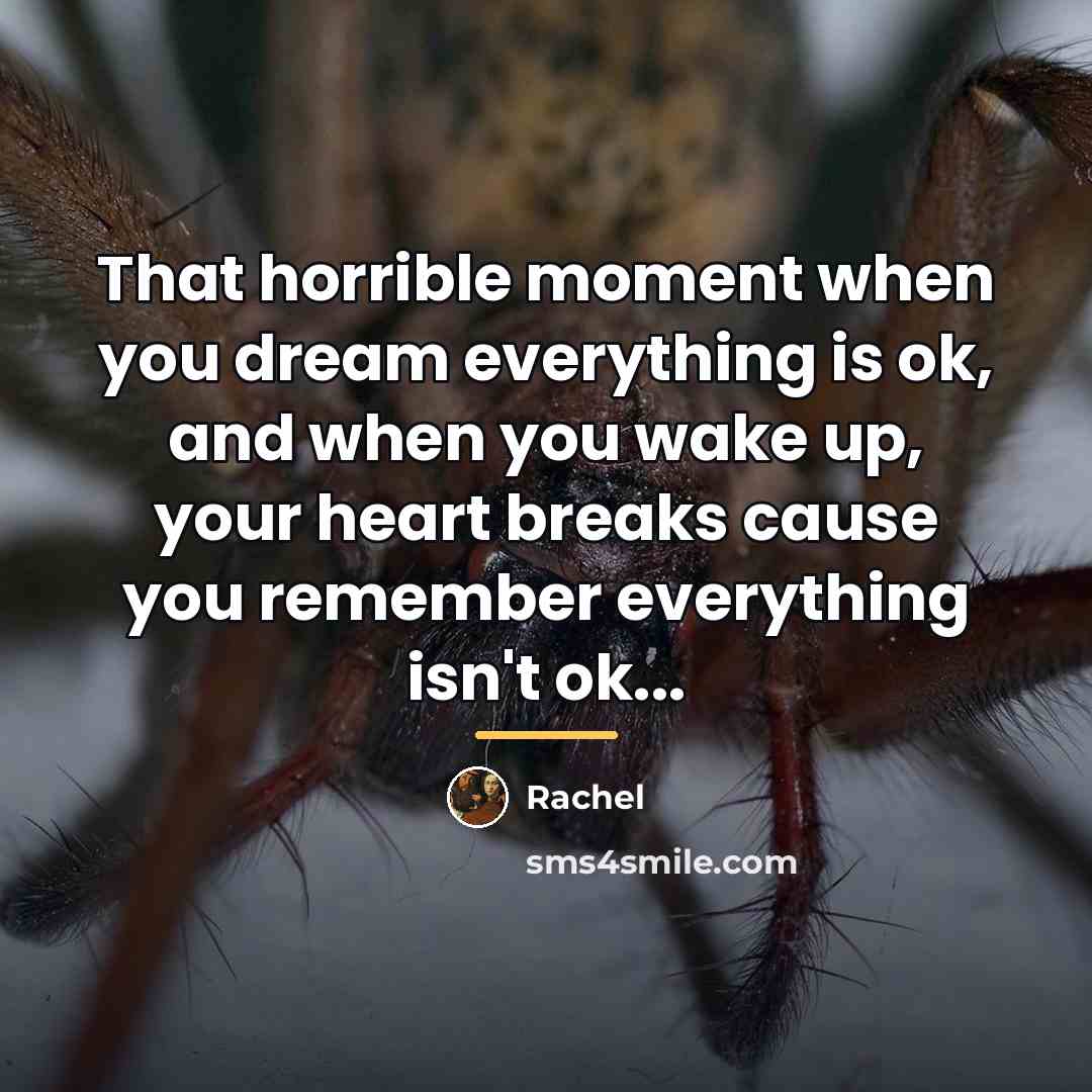 “That horrible moment when you dream everything is ok, and…” quote by Rachel