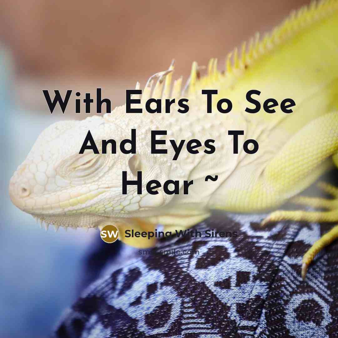 “With Ears To See And Eyes To Hear ~” quote by Sleeping With Sirens