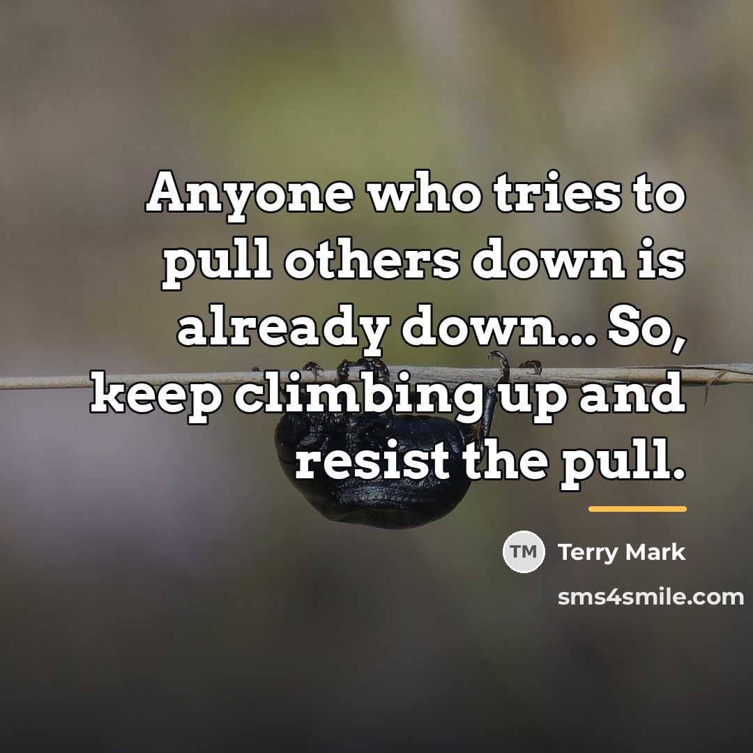 “Anyone who tries to pull others down is already down...…” quote by Terry Mark