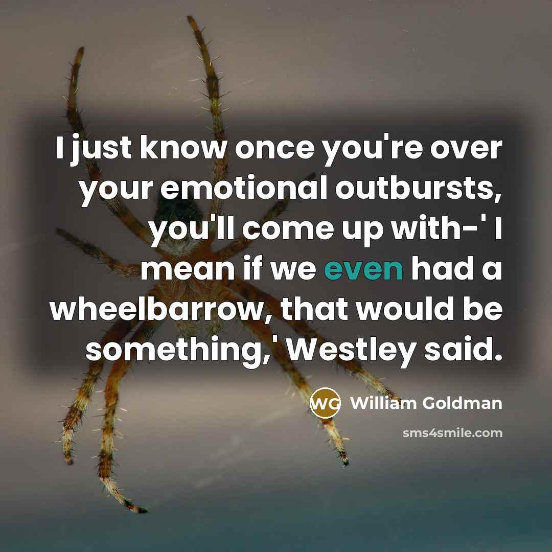 “I just know once you're over your emotional outbursts, you'll…” quote by William Goldman