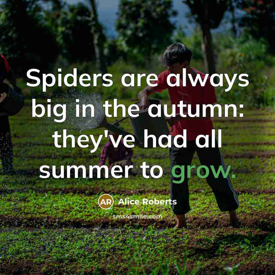 “Spiders are always big in the autumn: they've had all…” quote by Alice Roberts