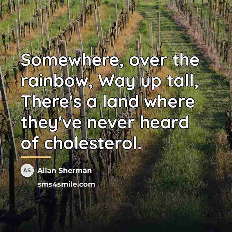 “Somewhere, over the rainbow, Way up tall, There's a land…” quote by Allan Sherman