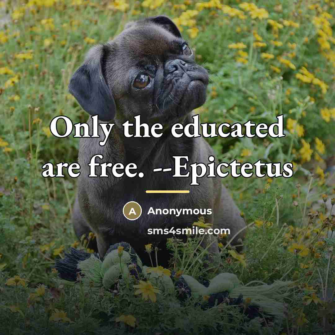 “Only the educated are free. --Epictetus…” quote by Anonymous