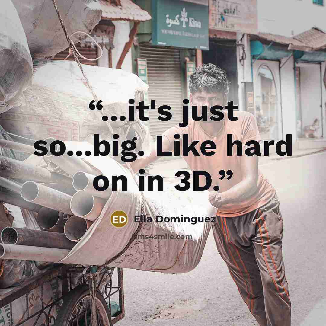 “...it's just so...big. Like hard on in 3D.” quote by Ella Dominguez
