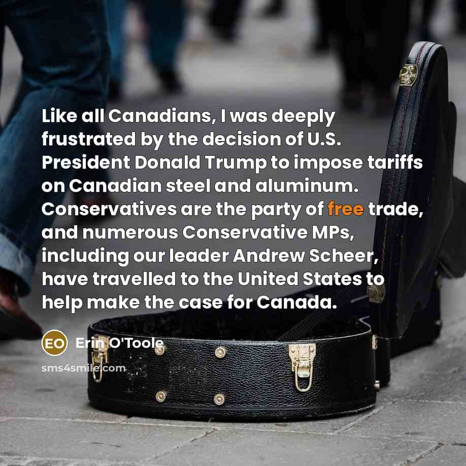 “Like all Canadians, I was deeply frustrated by the decision…” quote by Erin O'Toole