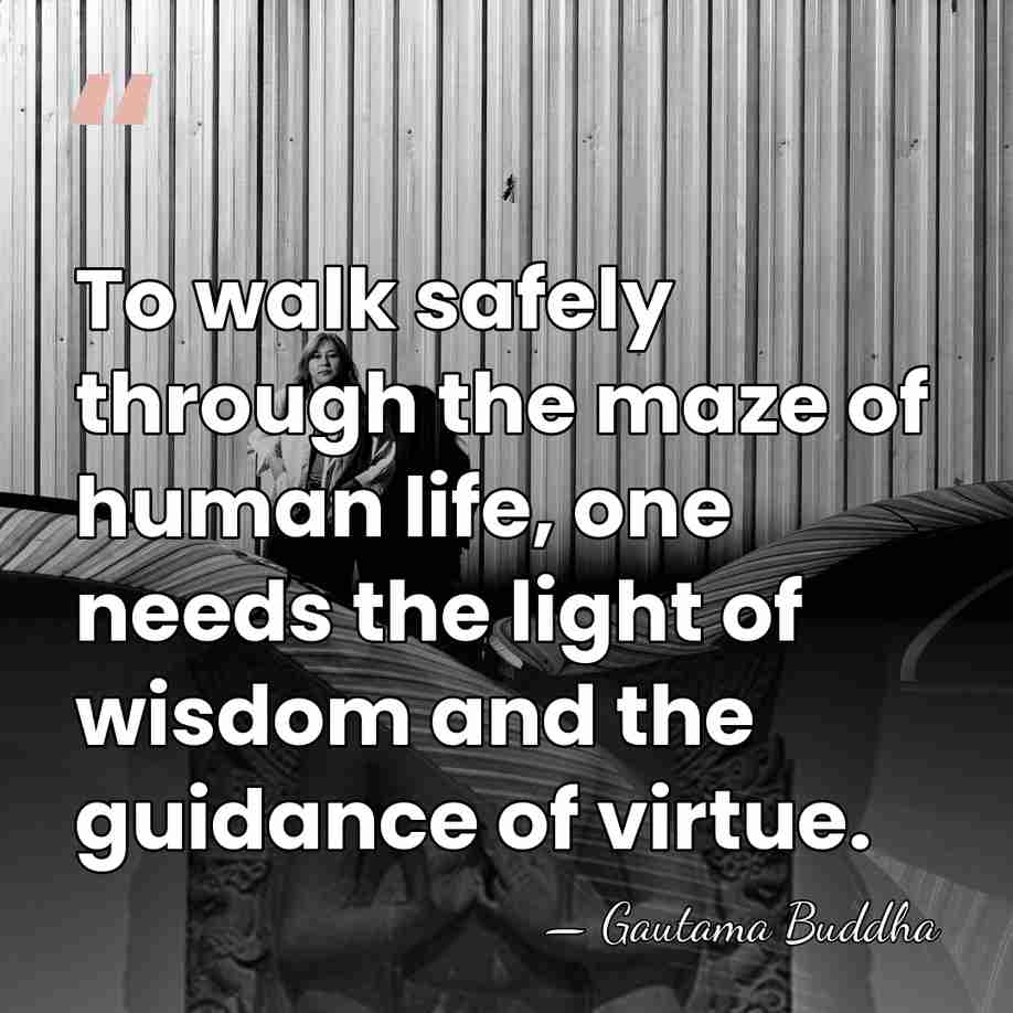 To walk safely through the maze of human life, one needs the&hellip; - Gautama Buddha
