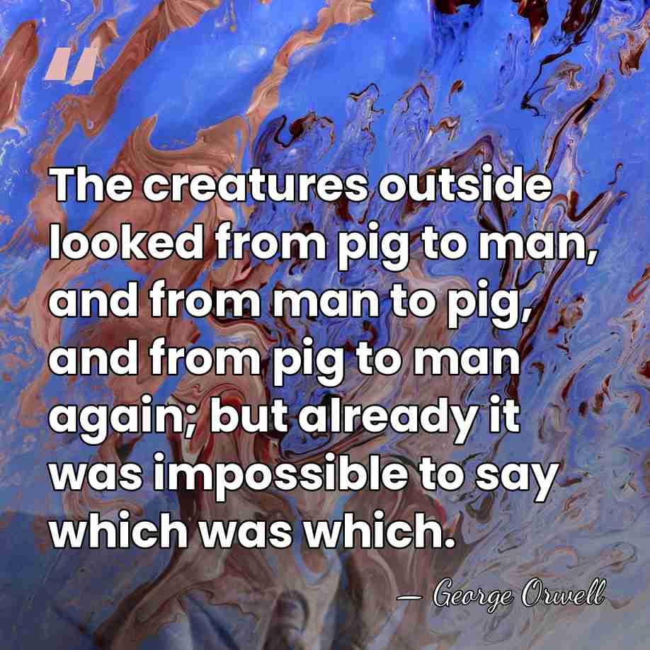 The creatures outside looked from pig to man, and from man to&hellip; - George Orwell