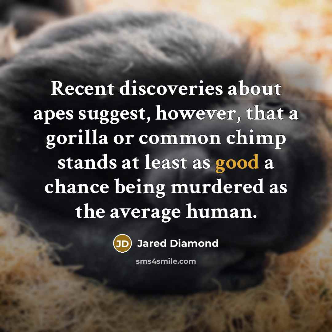 “Recent discoveries about apes suggest, however, that a gorilla or…” quote by Jared Diamond