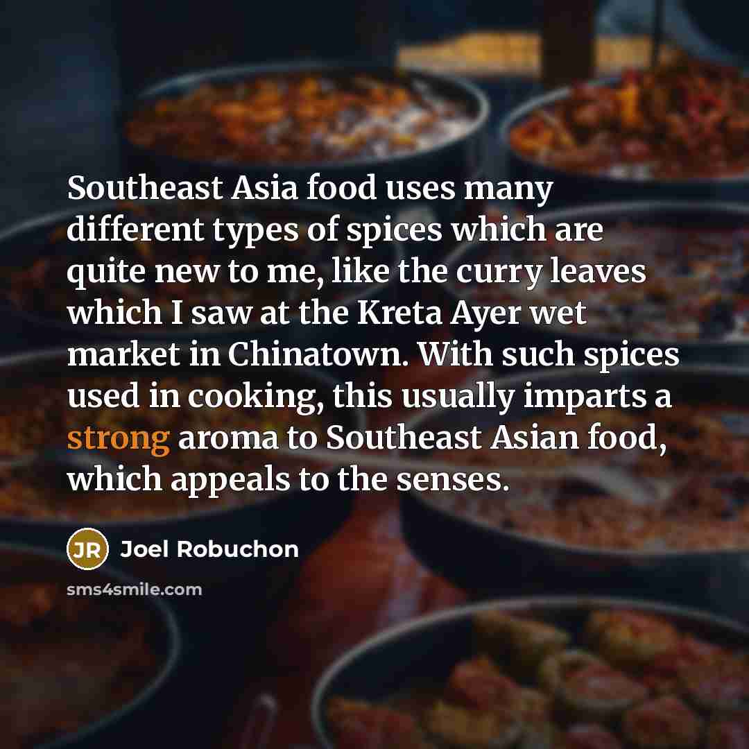 “Southeast Asia food uses many different types of spices which…” quote by Joel Robuchon