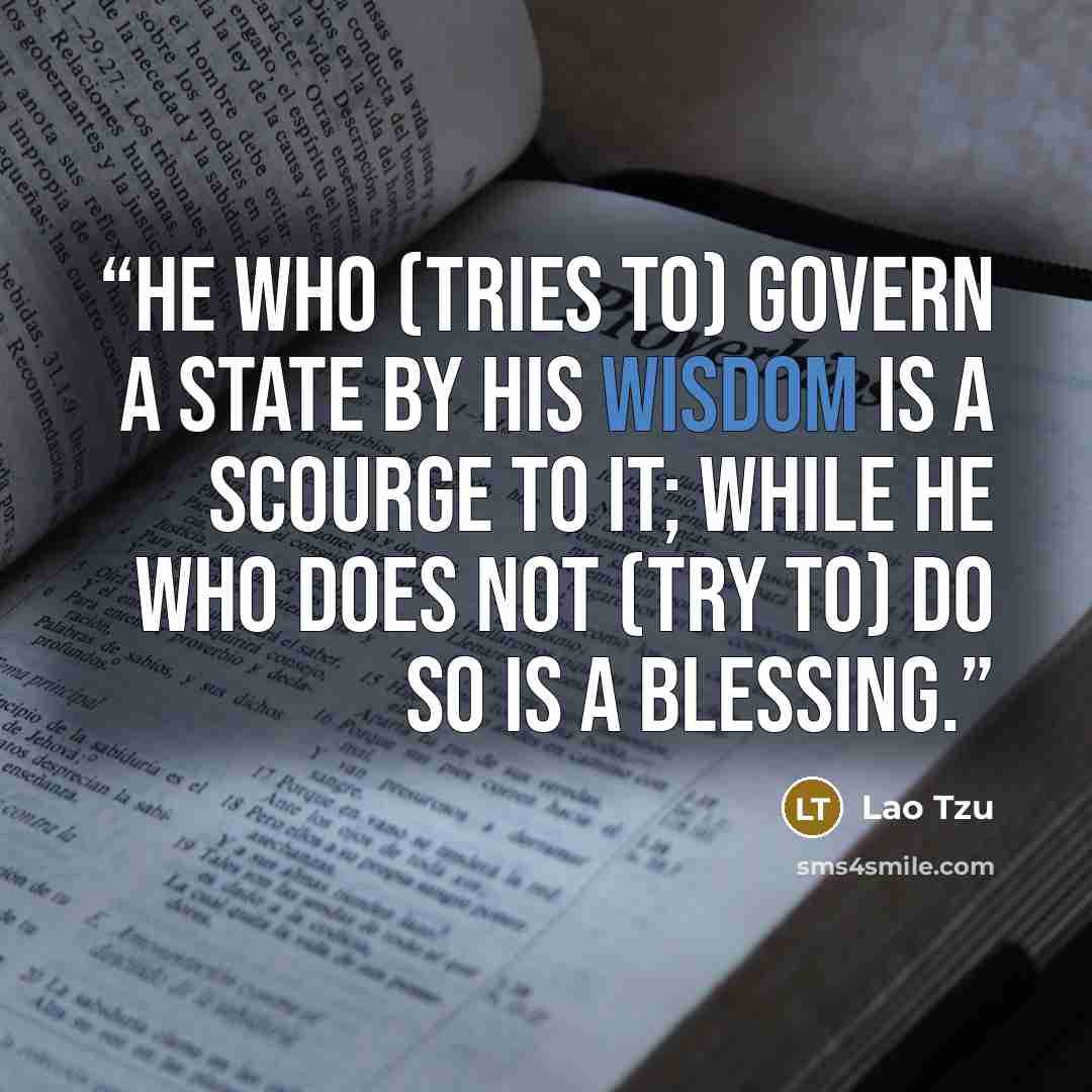 “He who (tries to) govern a state by his wisdom is a scourge to it; while he who does not (try to) do so is a blessing.” quote by Lao Tzu