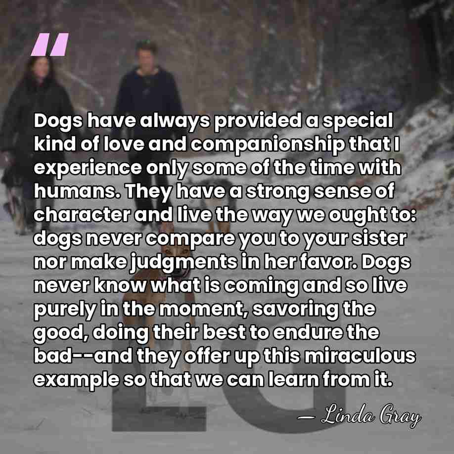 Dogs have always provided a special kind of love and companionship that&hellip; - Linda Gray