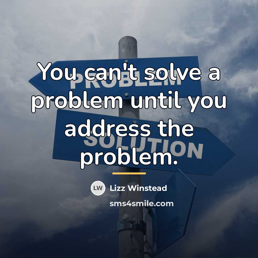 “You can't solve a problem until you address the problem.…” quote by Lizz Winstead