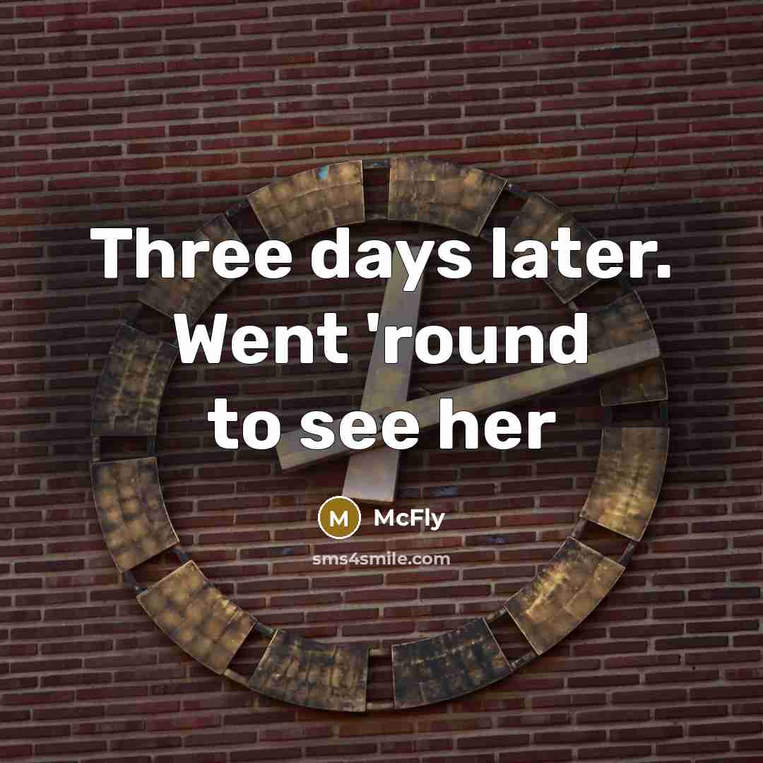 “Three days later. Went 'round to see her…” quote by McFly