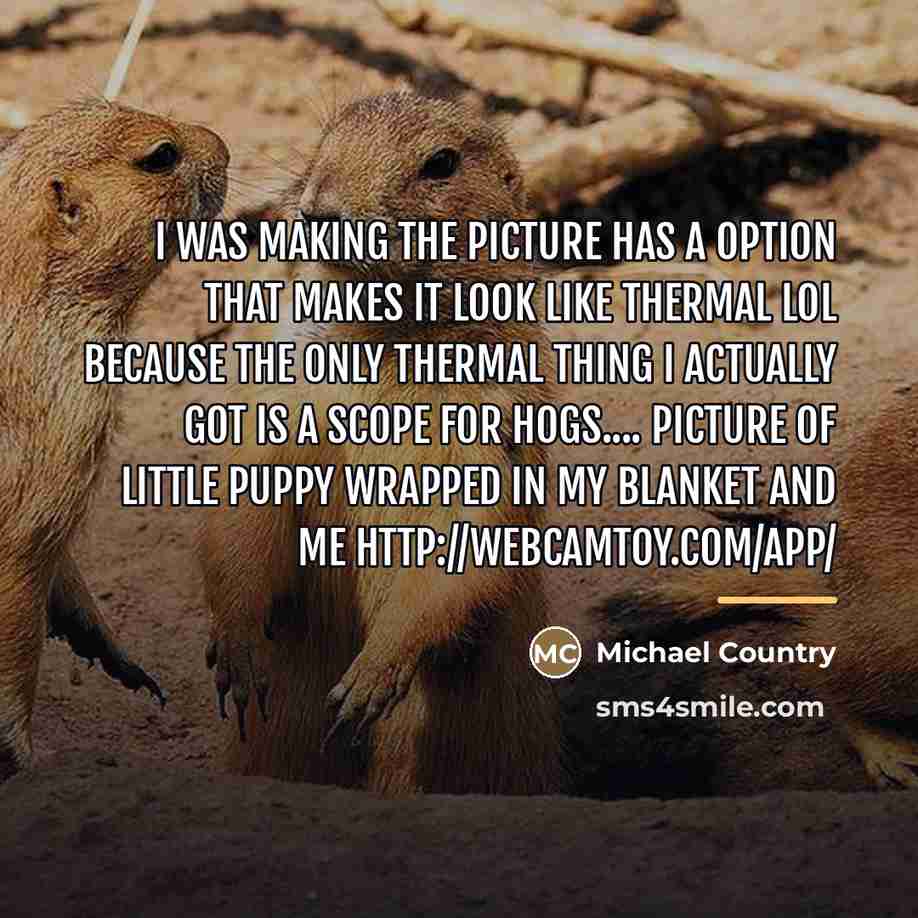 “I was making the picture has a option that makes…” quote by Michael Country