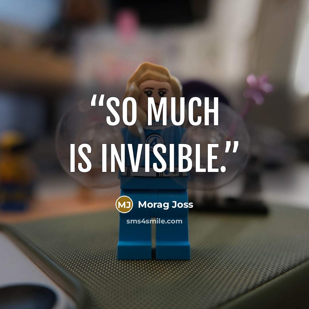 “So much is invisible.” quote by Morag Joss