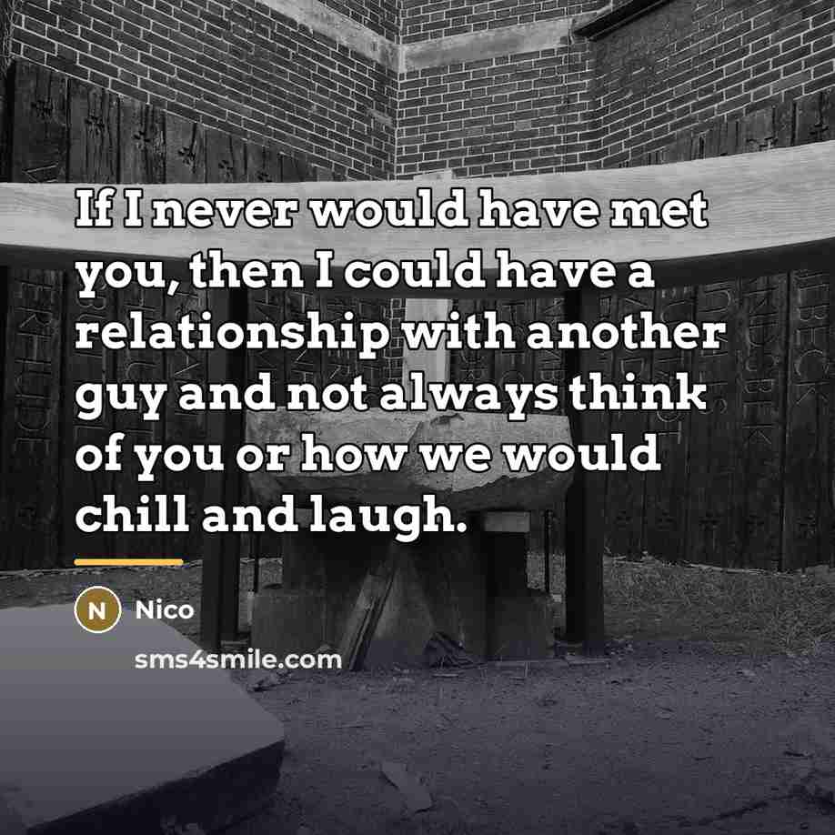 “If I never would have met you, then I could…” quote by Nico