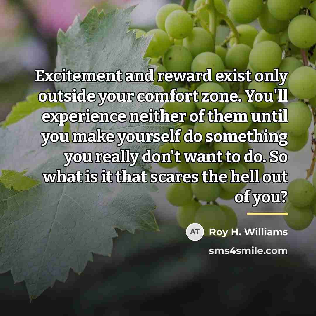 “Excitement and reward exist only outside your comfort zone. You'll…” quote by Roy H. Williams