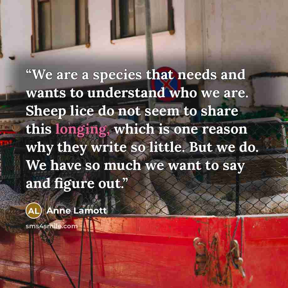 “We are a species that needs and wants to understand who we are. Sheep lice do not seem to share this longing, which is one reason why they write so little. But we do. We have so much we want to say and figure out.” quote by Anne Lamott