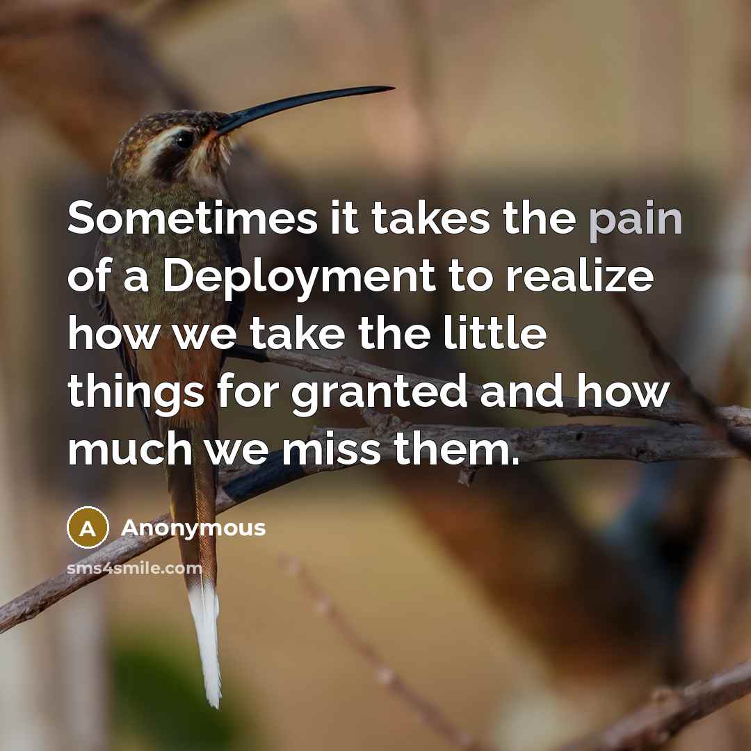 “Sometimes it takes the pain of a Deployment to realize how we take the little things for granted and how much we miss them.” quote by Anonymous