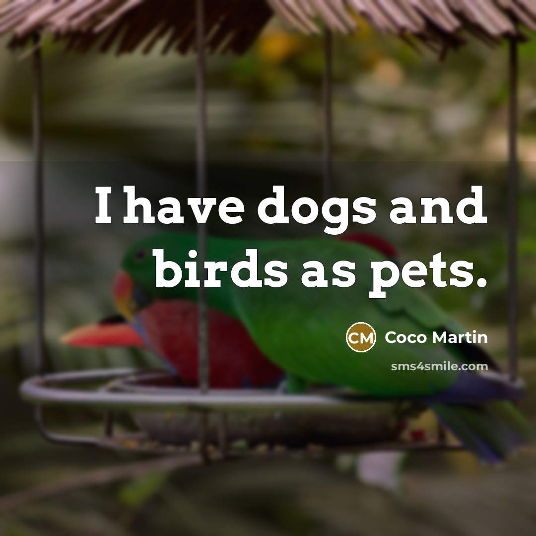 “I have dogs and birds as pets.…” quote by Coco Martin