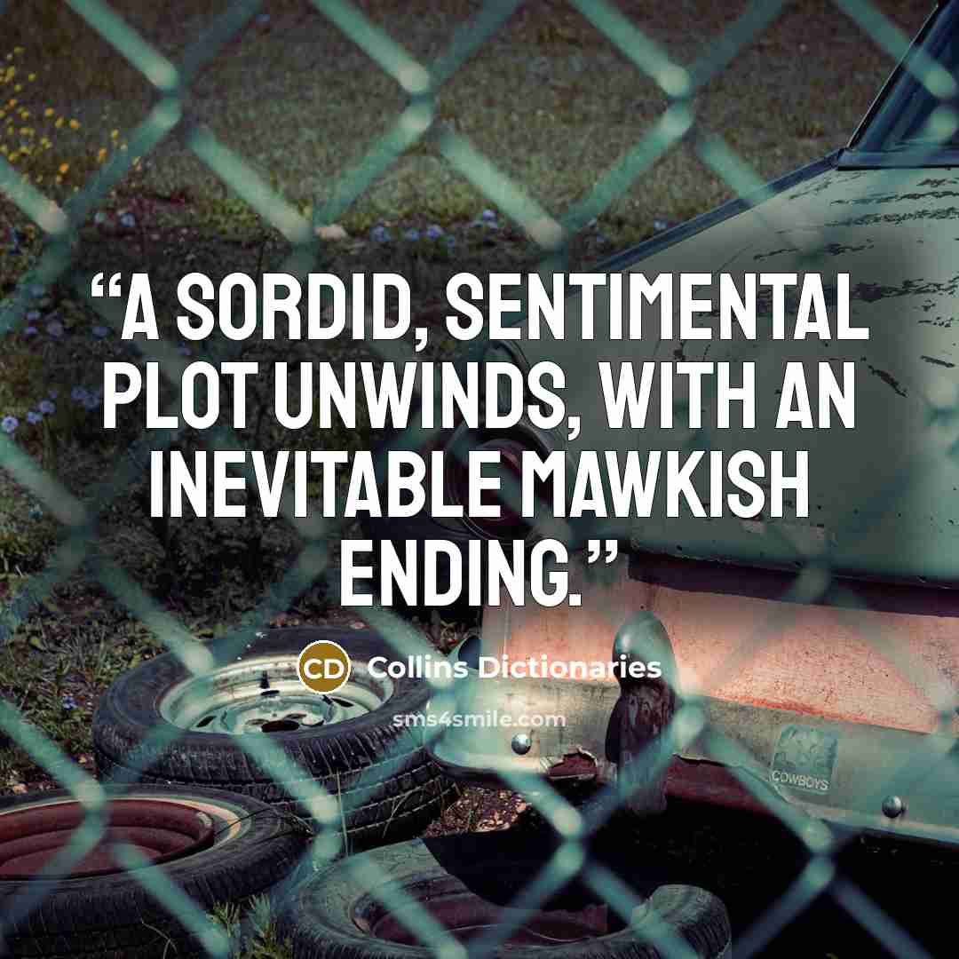 “A sordid, sentimental plot unwinds, with an inevitable mawkish ending.” quote by Collins Dictionaries