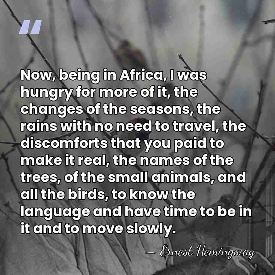 Now, being in Africa, I was hungry for more of it, the&hellip; - Ernest Hemingway