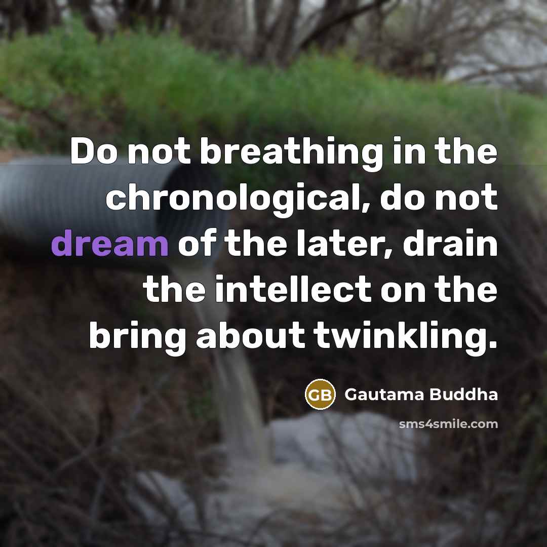 “Do not breathing in the chronological, do not dream of…” quote by Gautama Buddha