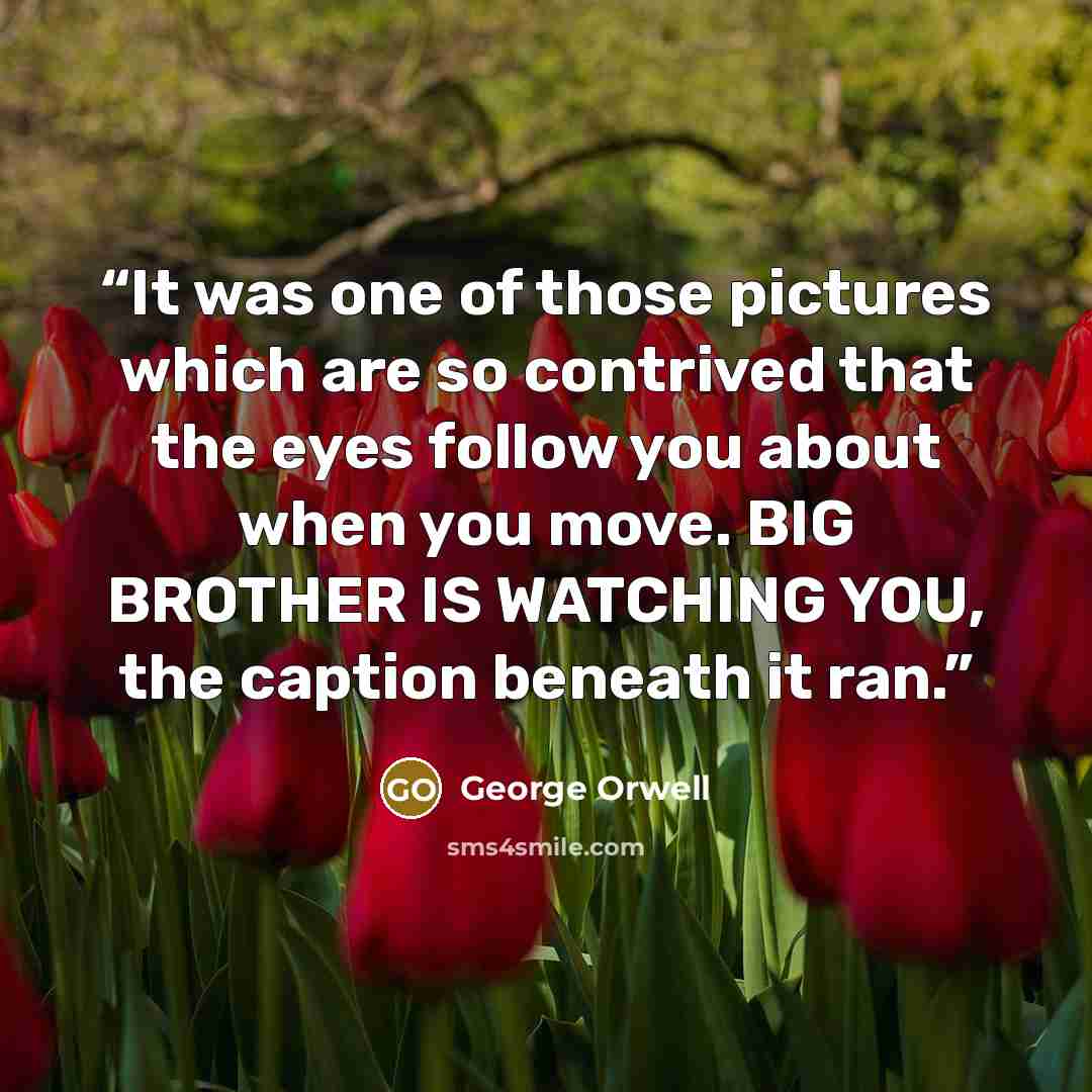 “It was one of those pictures which are so contrived that the eyes follow you about when you move. BIG BROTHER IS WATCHING YOU, the caption beneath it ran.” quote by George Orwell
