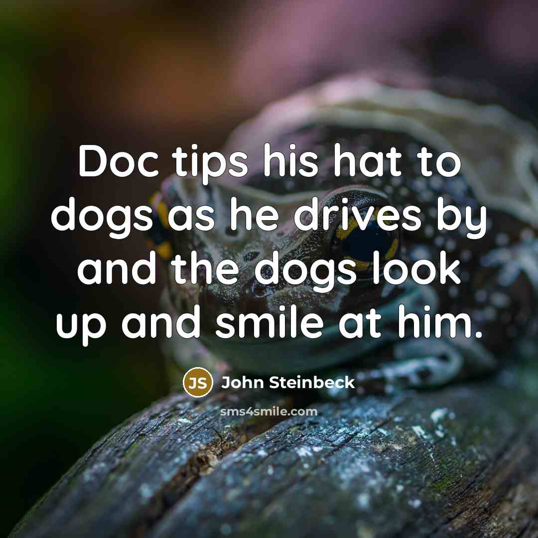 “Doc tips his hat to dogs as he drives by and the dogs look up and smile at him.” quote by John Steinbeck