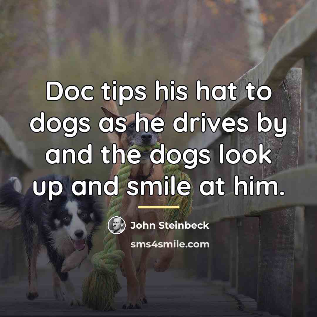 “Doc tips his hat to dogs as he drives by…” quote by John Steinbeck