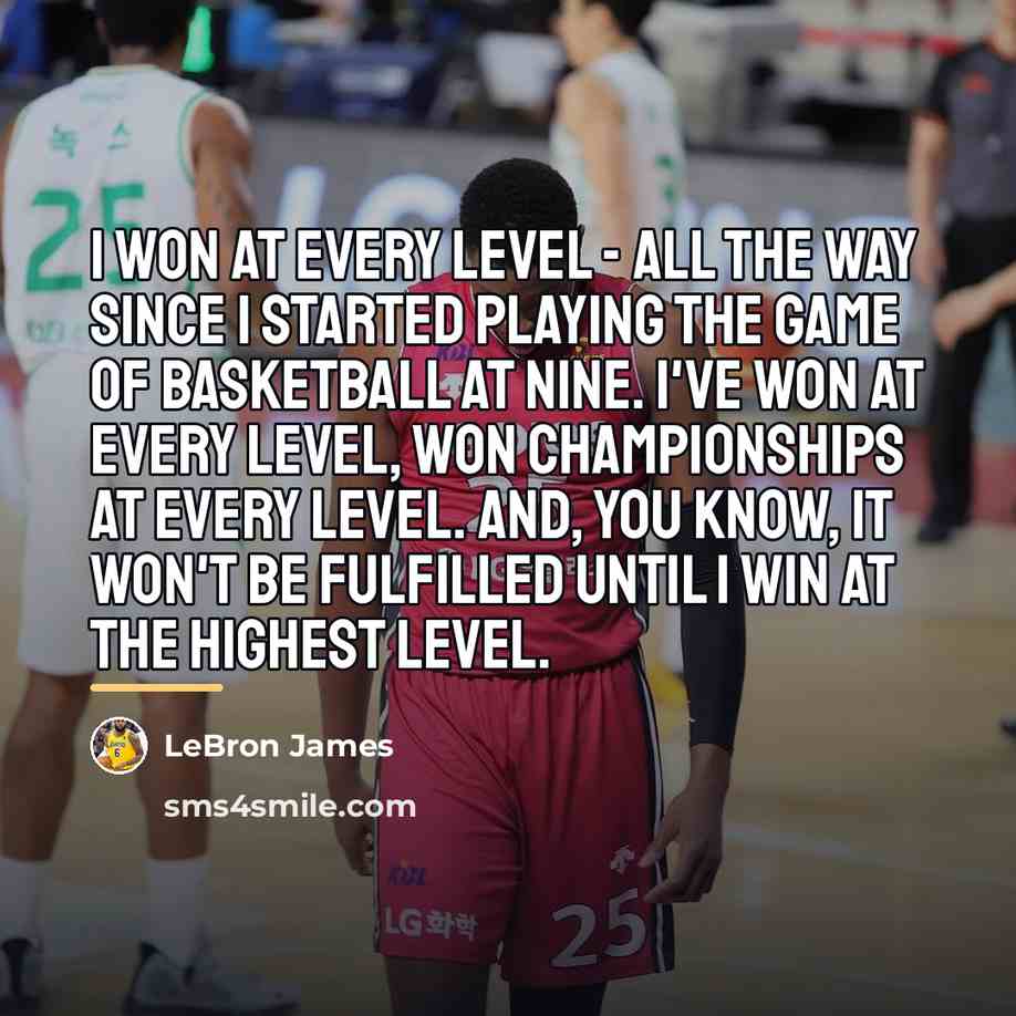 “I won at every level - all the way since…” quote by LeBron James