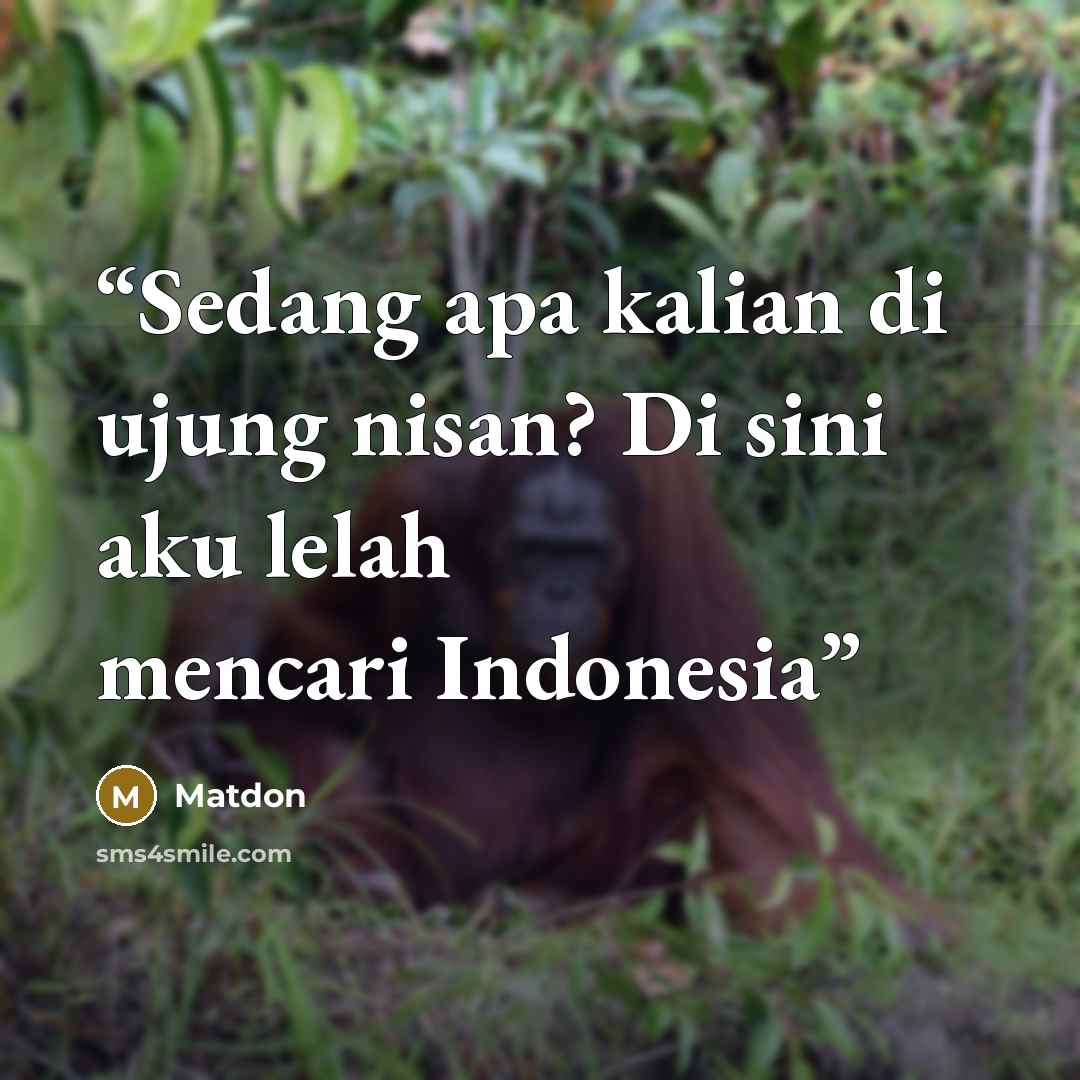 “Sedang apa kalian di ujung nisan? Di sini aku lelah mencari Indonesia” quote by Matdon