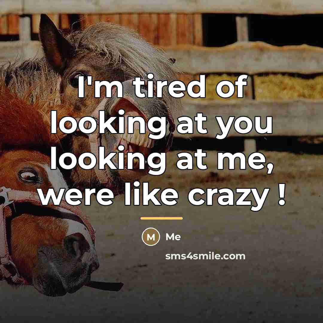 “I'm tired of looking at you looking at me, were…” quote by Me