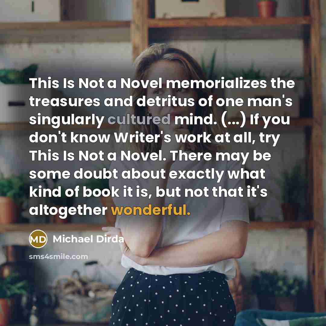 “This Is Not a Novel memorializes the treasures and detritus…” quote by Michael Dirda