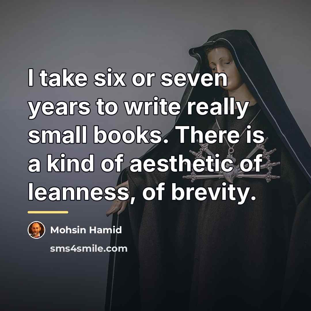 “I take six or seven years to write really small…” quote by Mohsin Hamid