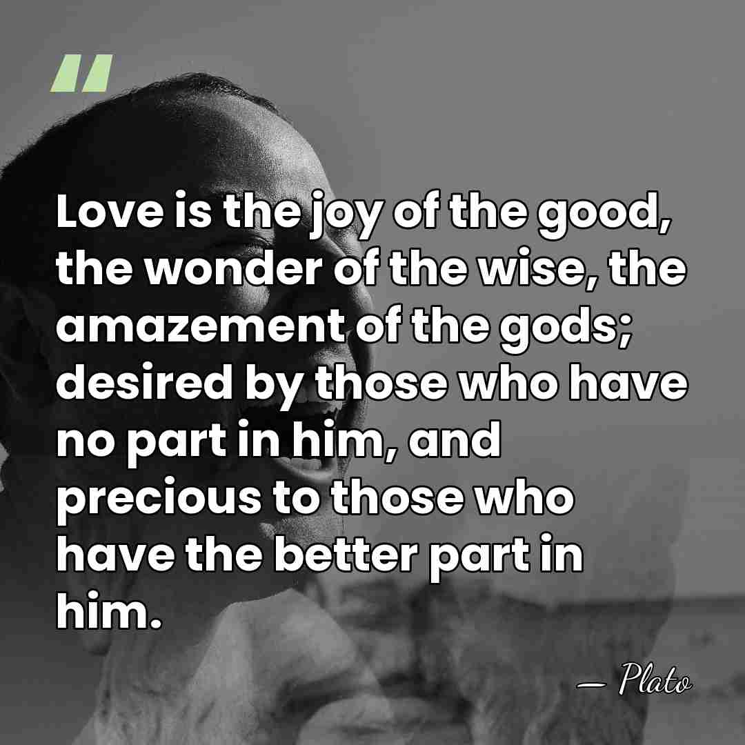 Love is the joy of the good, the wonder of the wise,&hellip; - Plato