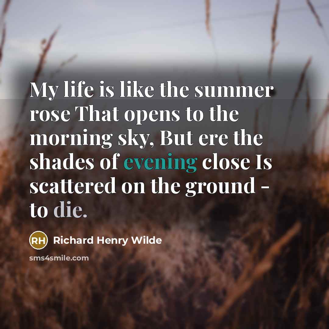 “My life is like the summer rose That opens to the morning sky, But ere the shades of evening close Is scattered on the ground - to die.” quote by Richard Henry Wilde