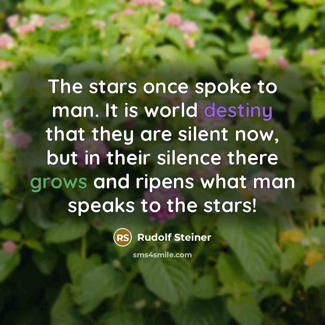 “The stars once spoke to man. It is world destiny…” quote by Rudolf Steiner
