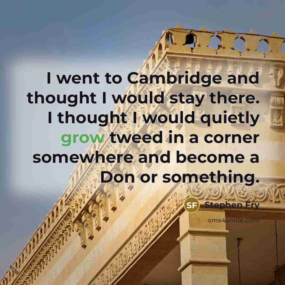 “I went to Cambridge and thought I would stay there.…” quote by Stephen Fry