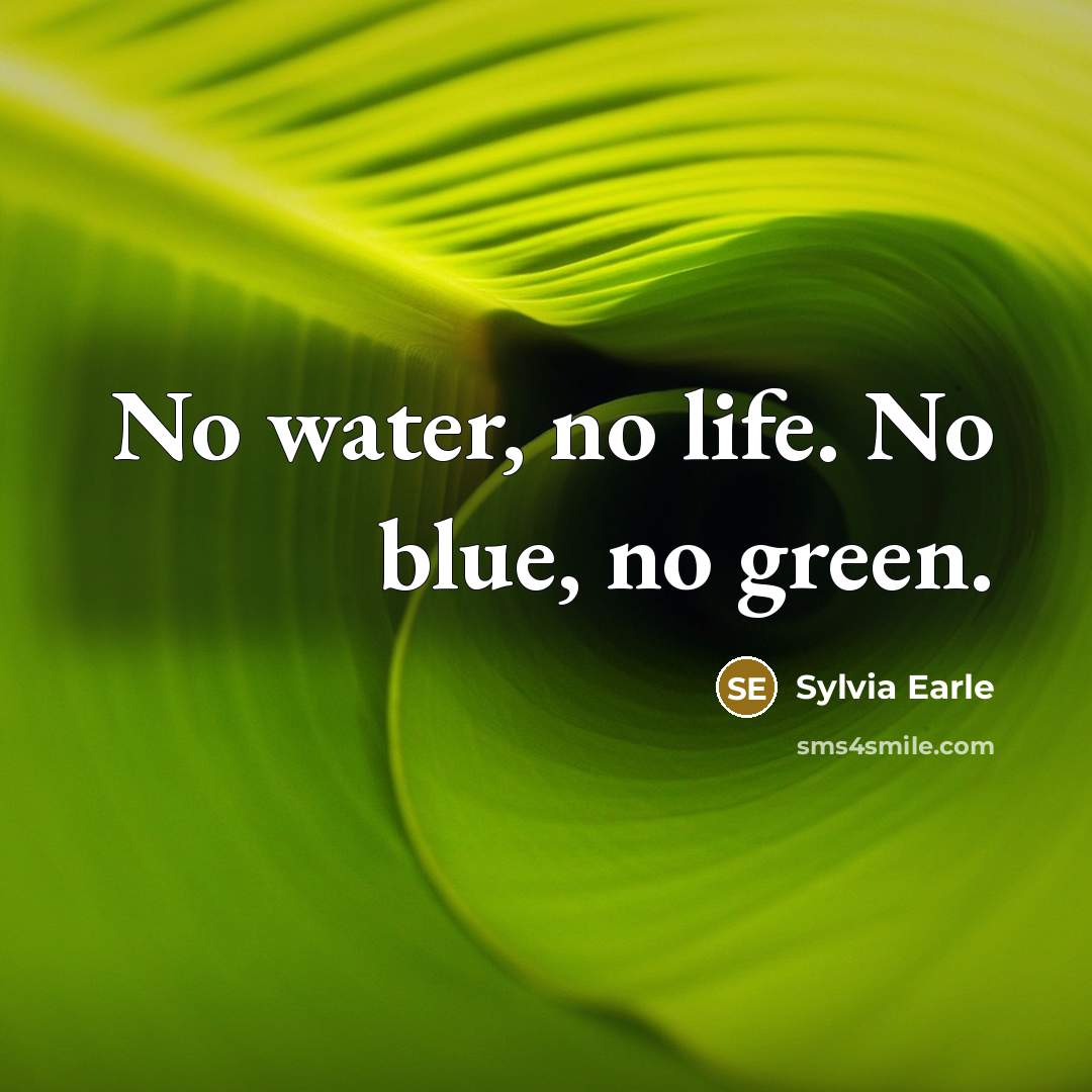 “No water, no life. No blue, no green.…” quote by Sylvia Earle