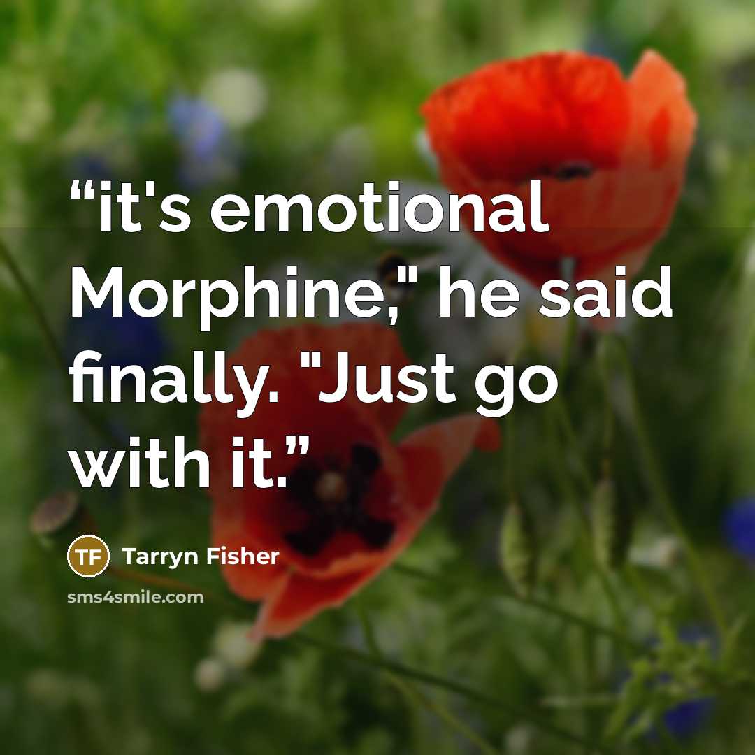 “it's emotional Morphine," he said finally. "Just go with it.” quote by Tarryn Fisher