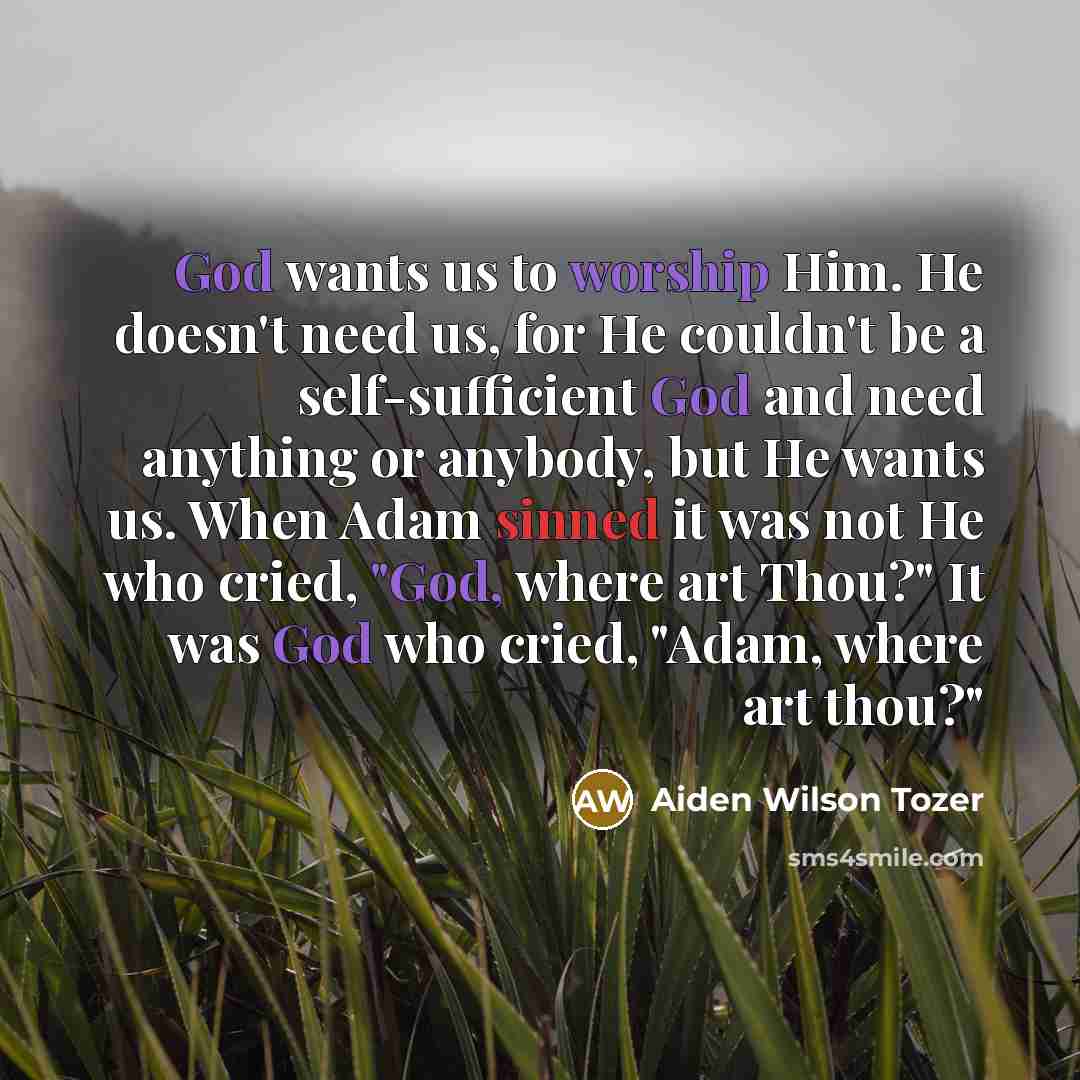 “God wants us to worship Him. He doesn't need us,…” quote by Aiden Wilson Tozer