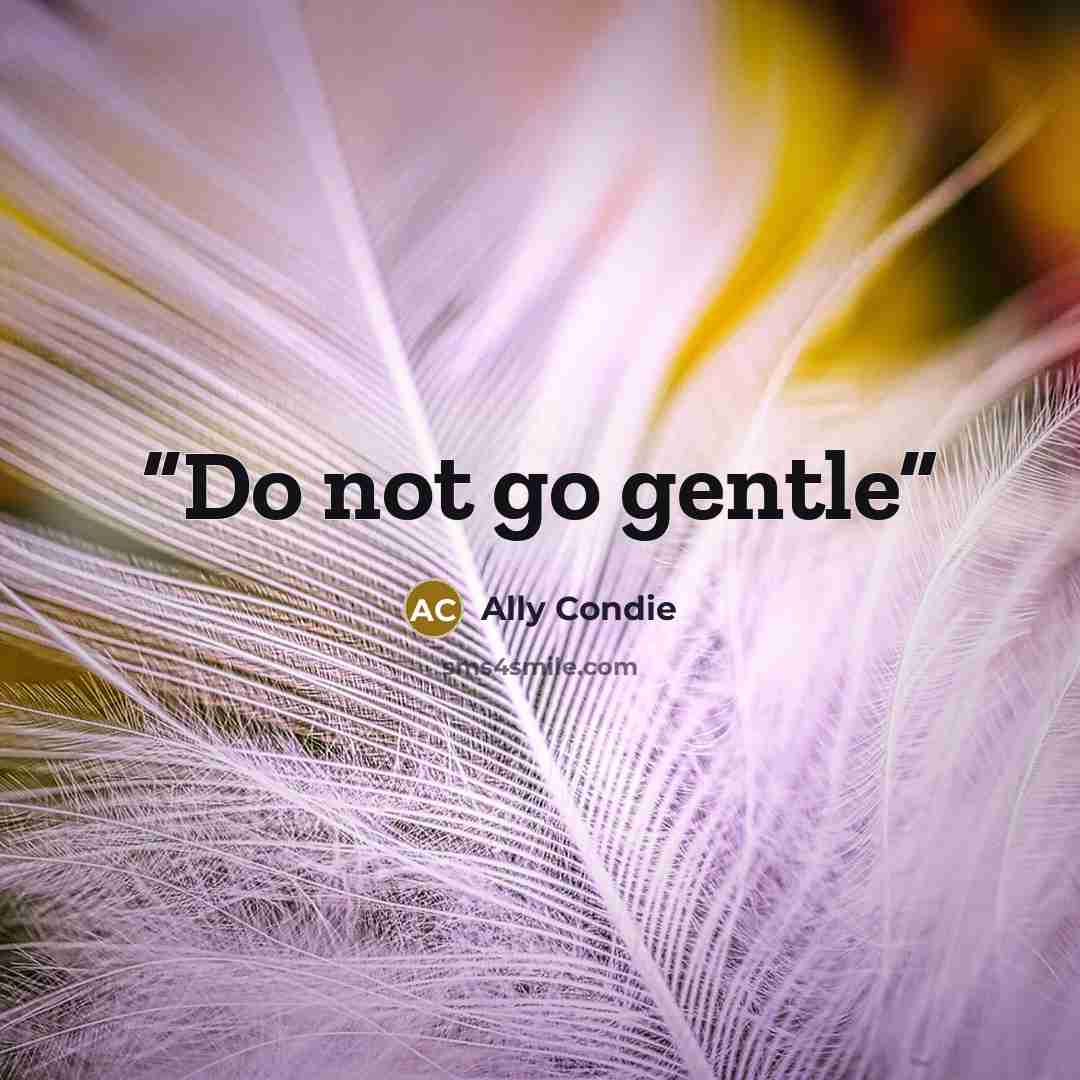 “Do not go gentle” quote by Ally Condie