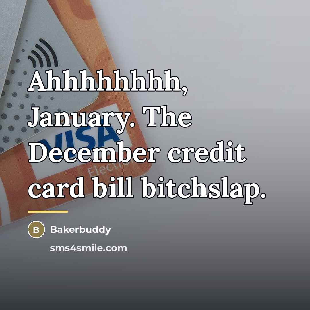 “Ahhhhhhhh, January. The December credit card bill bitchslap.…” quote by Bakerbuddy