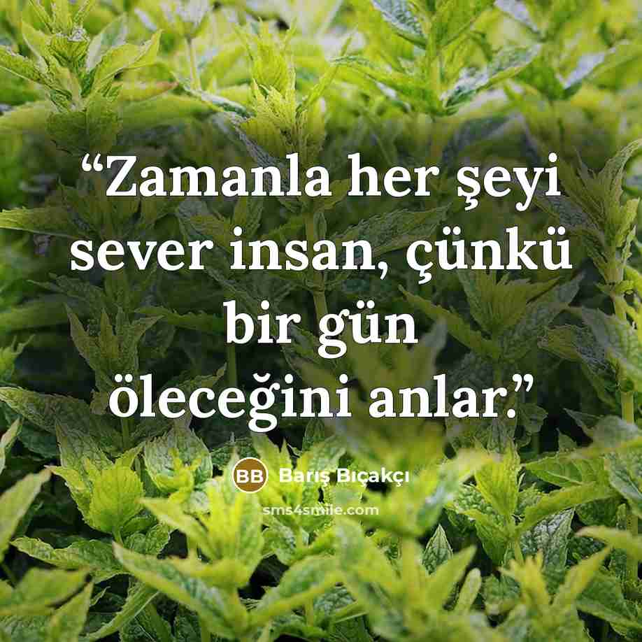“Zamanla her şeyi sever insan, çünkü bir gün öleceğini anlar.” quote by Barış Bıçakçı