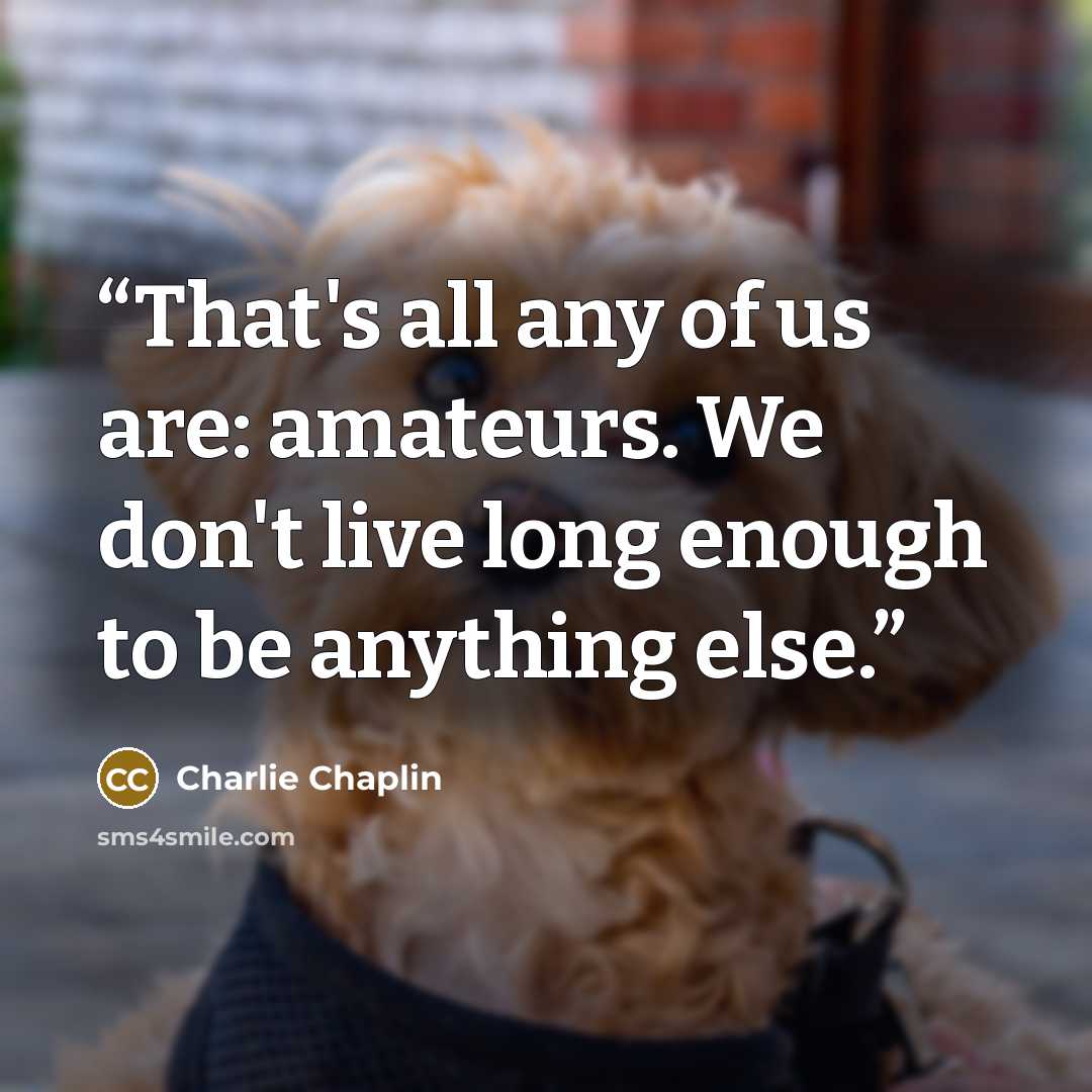 “That's all any of us are: amateurs. We don't live long enough to be anything else.” quote by Charlie Chaplin