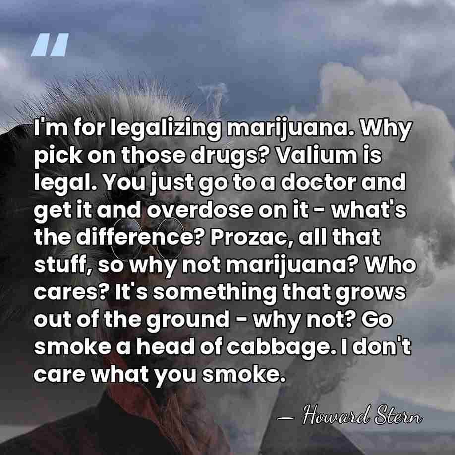 I'm for legalizing marijuana. Why pick on those drugs? Valium is legal.&hellip; - Howard Stern