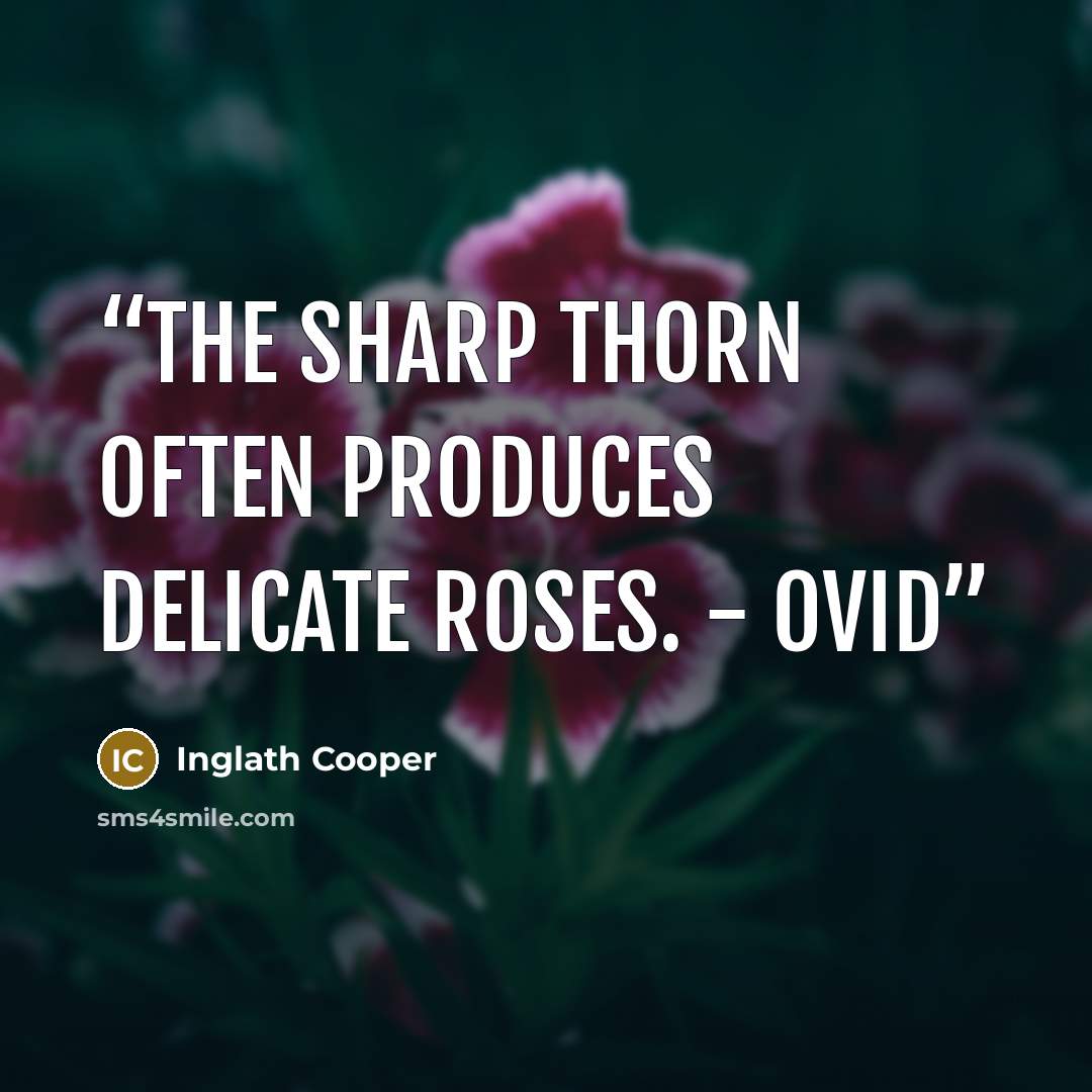 “The sharp thorn often produces delicate roses. - Ovid” quote by Inglath Cooper